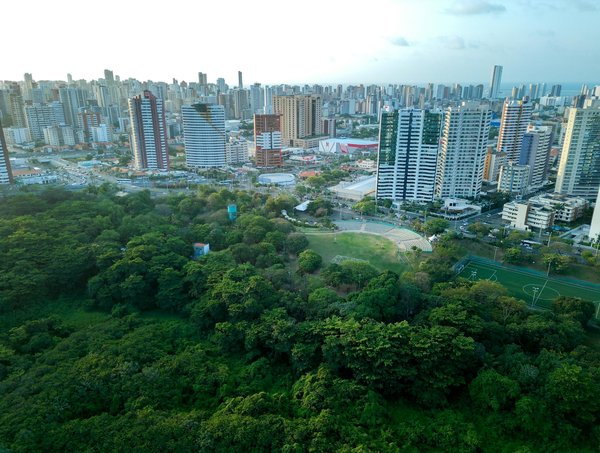 Innovation automobile : vers un futur vert