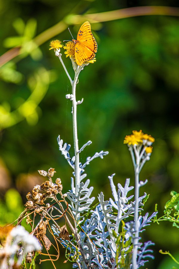 Fournisseur sac papier kraft : qualité et personnalisation au rendez-vous