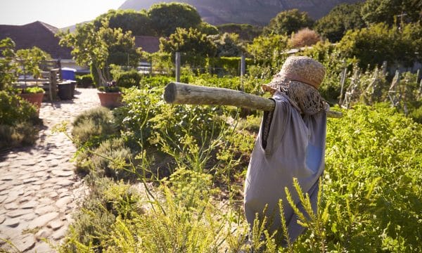 Quelle est la réglementatioon autour des effaroucheurs ?