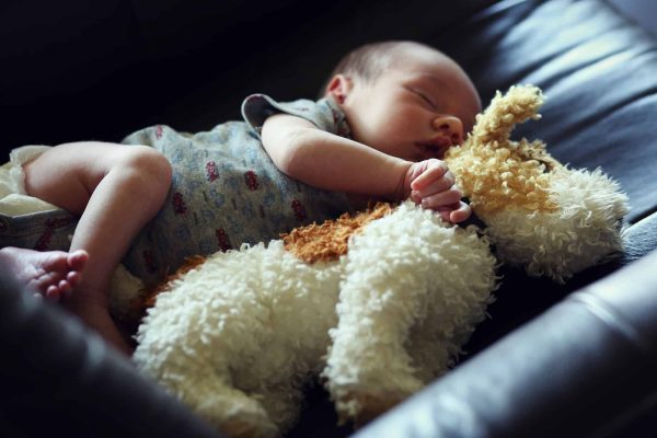 Quelles sont les peluches les plus adaptées pour les tout-petits et les bébés en termes de sécurité et de douceur ?